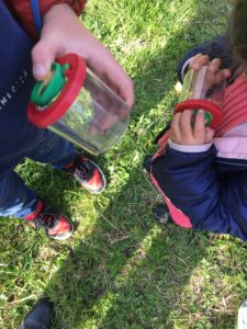 Activités nature en famille