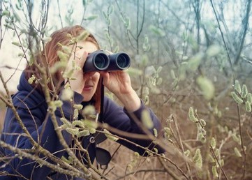 Observation de la faune